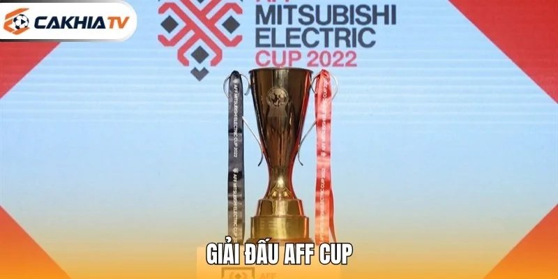 Giải Đấu AFF Cup – Toàn Cảnh Giải Đấu Hấp Dẫn Đông Nam Á